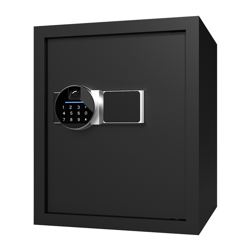 BS0142 Coffre-fort biométrique pour la maison, 40 L