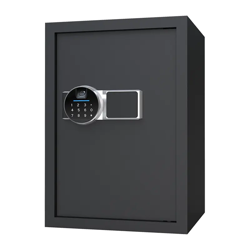 BS0150 Coffre-fort biométrique pour la maison, 48 L